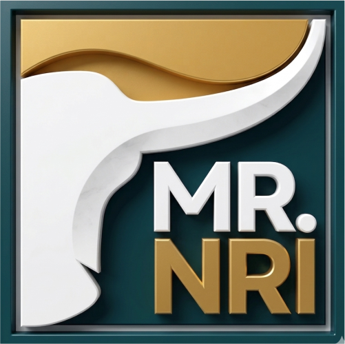 Mr. NRI